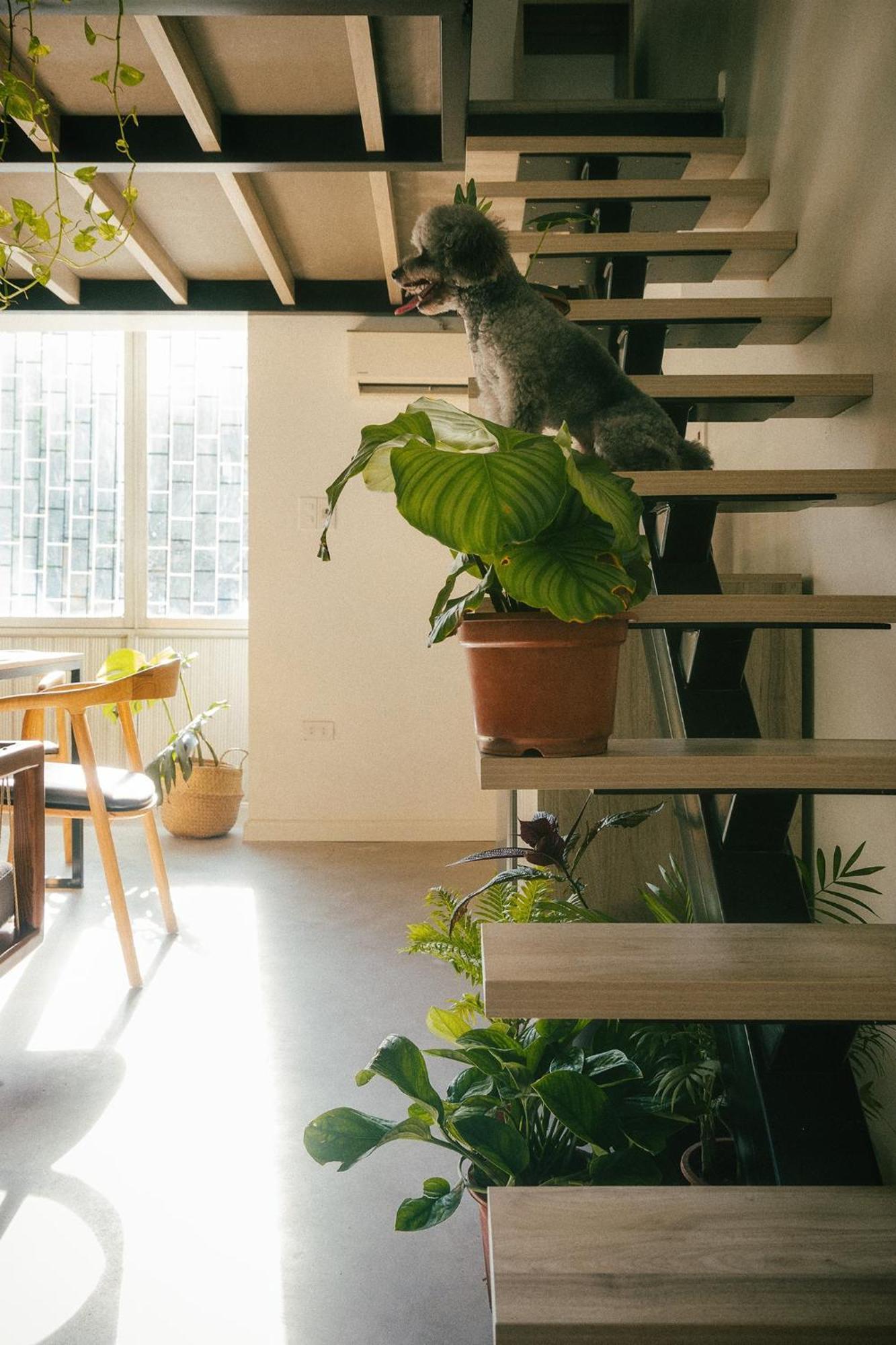 Anya Premier Apartments-City View With Big Balcony-Free Laundry Hanoi Exteriör bild